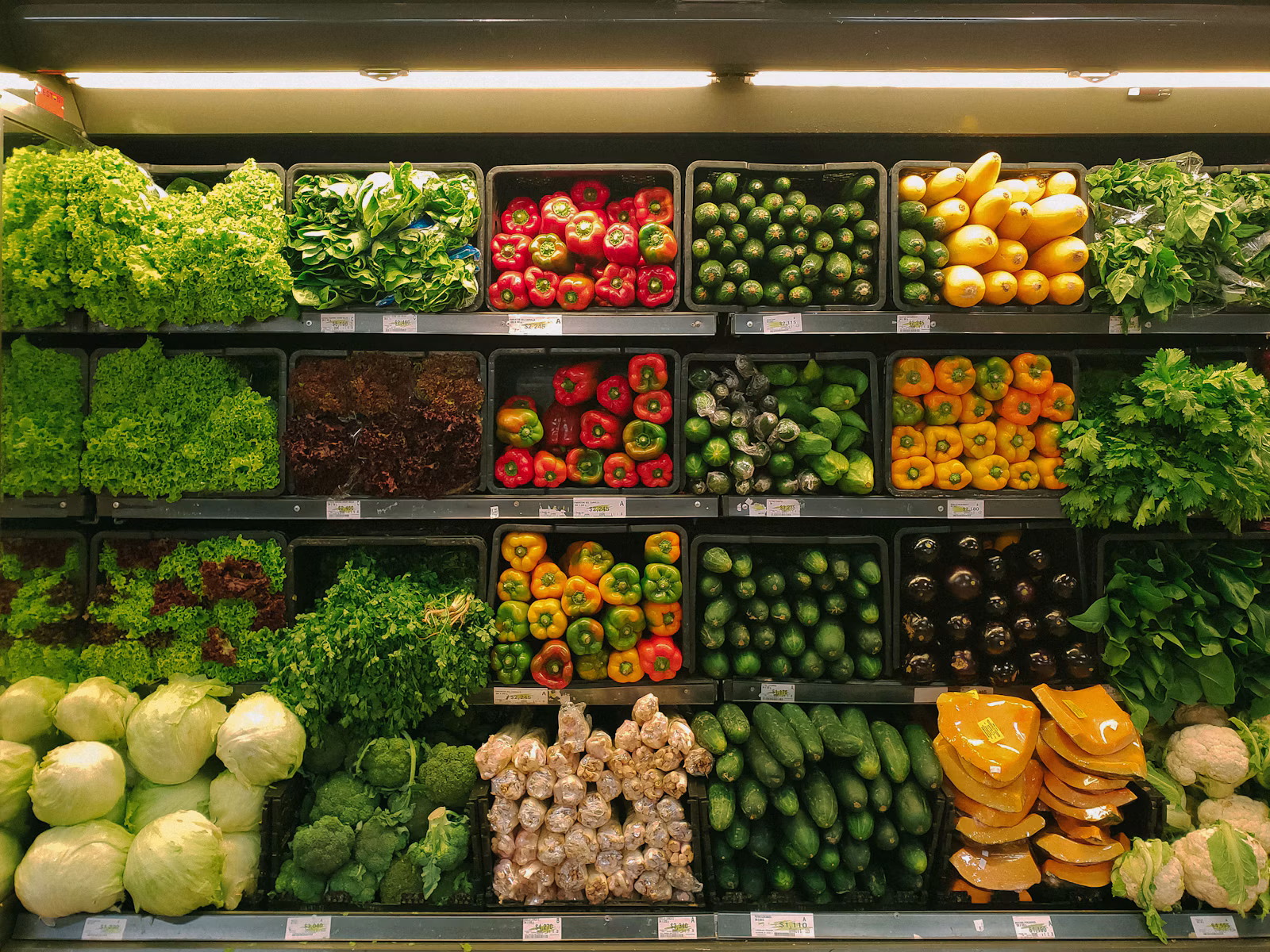 Limpeza e Utilidades